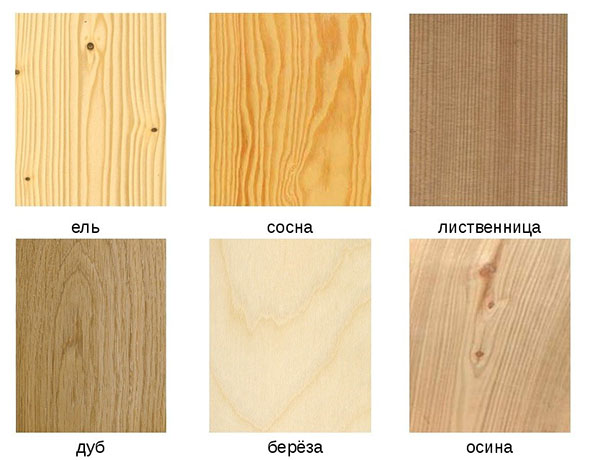 Евровагонка: породы хвойной древесины
